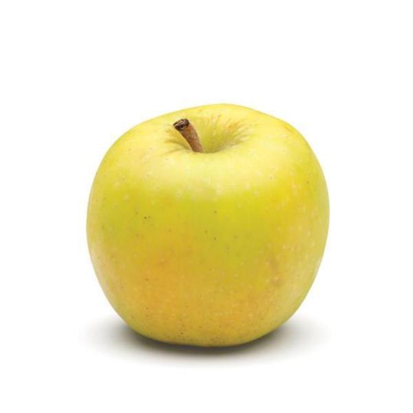 Golden Apple (EACH)