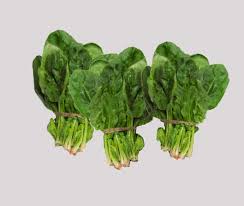 Baby Spinach - Bunch