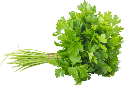 Parsley (Bunch)