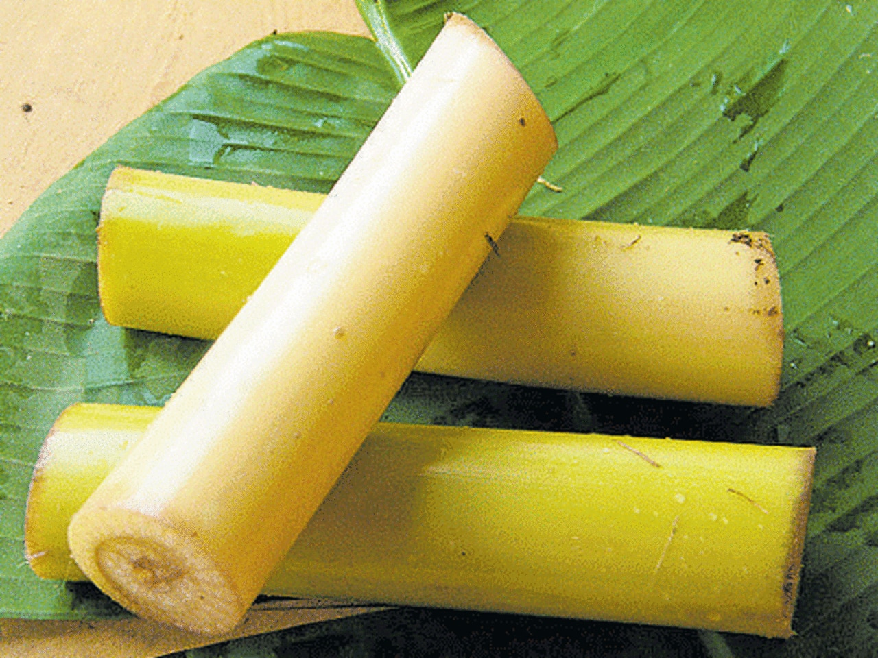 Banana Stem (1-1.5 lb)