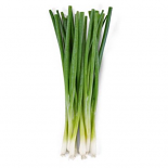 Green Onion - bunch