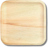 Palm Leaf Disposable Biodegradable Plate Square 10 Inch - 25-Pack